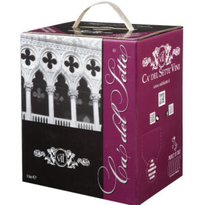 Bag in Box - Rot Wein Veneto Igt